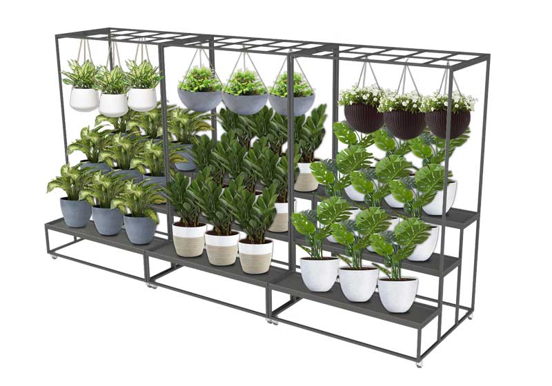 Floral Display [2P02-i]