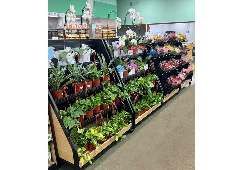 Flower Bucket Display [MF0120]