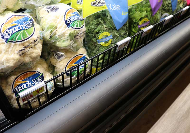 Vinyl Coated Wire Fencing [PFW]