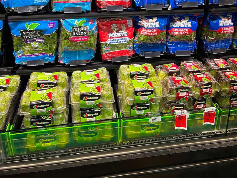 Clear Front Shelf Organizer with Round Corners [PR19M-R]