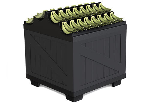 Banana Display [BLS36BAN]