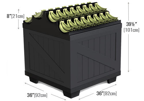 Banana Display [BLS36BAN]