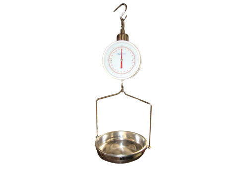 Hanging Scale [DTSC]
