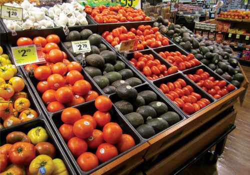 Eight Compartments Euro Tray [EUT106]