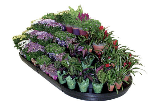 Modular Floral Display [FD111]