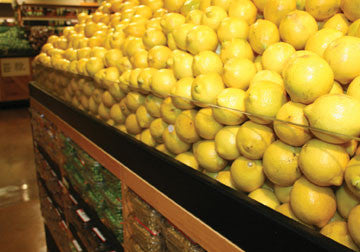 Straight Front Fence [PFS1]