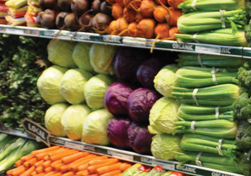 Expandable Produce Dummy [PR15EXT]