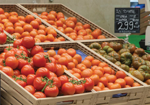 Alco Designs | RPC produce wood crates- RPC-WOOD | collapsible storage box