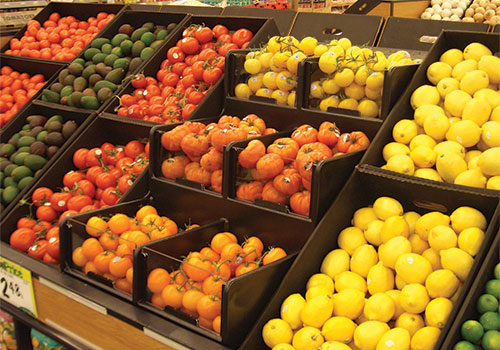 Six Compartment Euro Tray [EUT6565]