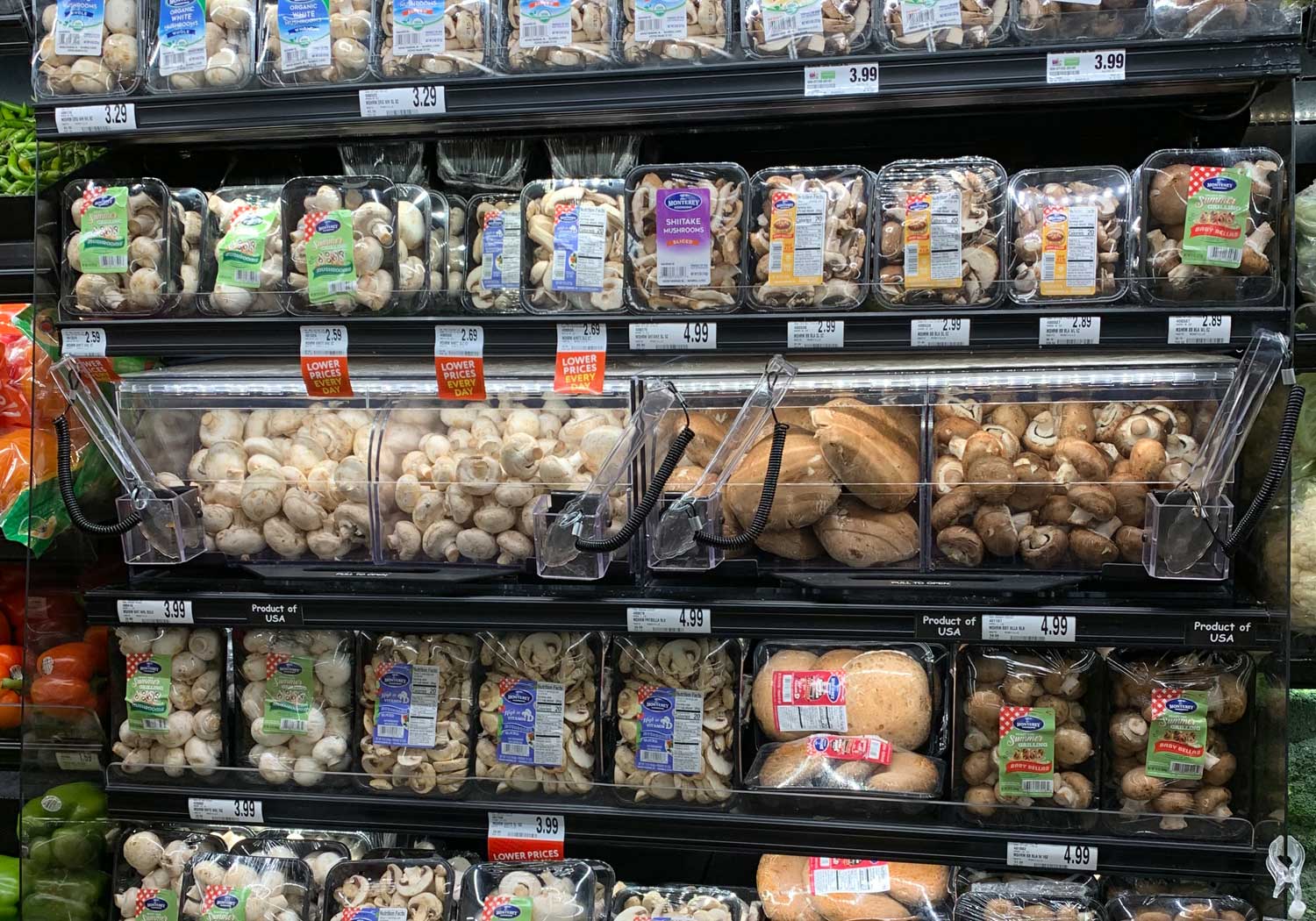 Pull-Out Mushroom Bin [MB-3]